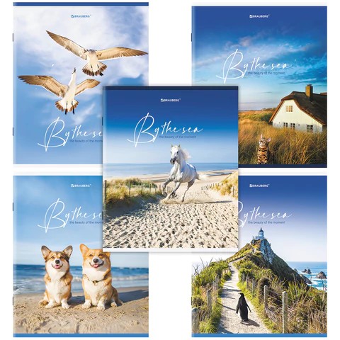 Тетр. 80л кл. BR By the Sea арт.0213-034