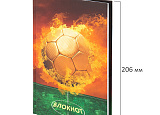 Зап.книжка А5 80л кл Юнландия-111615 Футбол арт.0208-018